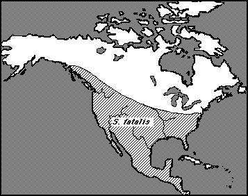 Distribution of Saber-toothed tigers in North America by George Michaels
